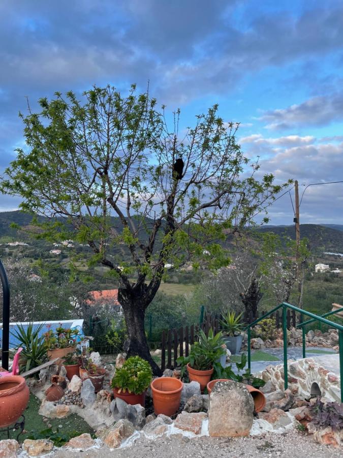 Monte Carrascal Guesthouse Salir ภายนอก รูปภาพ